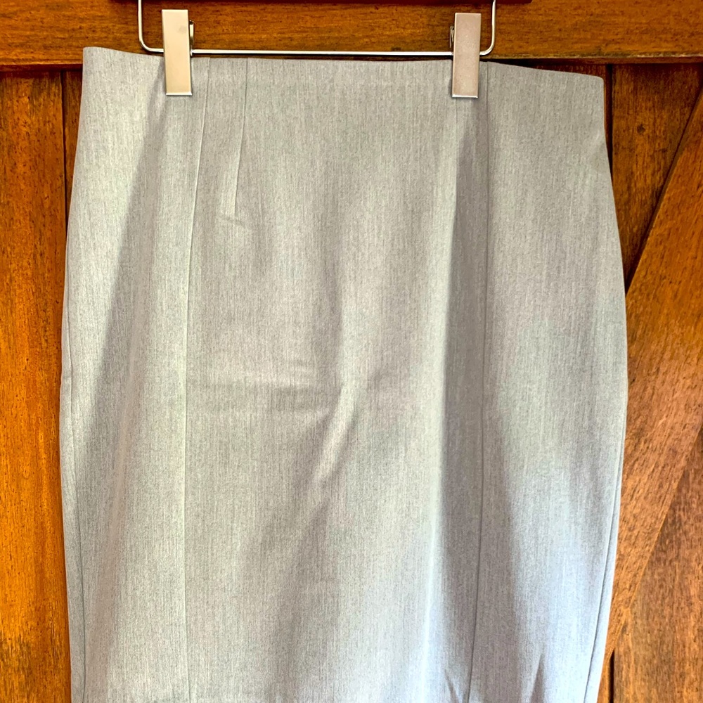Gray Express Fitted Skirt